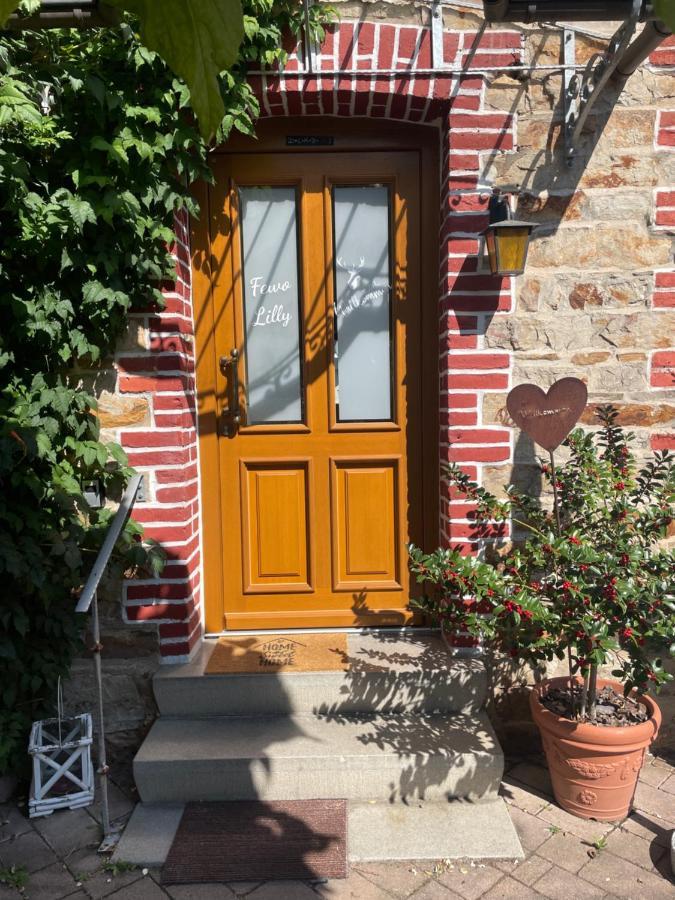 Ferienwohnung Lilly Eitelborn Zewnętrze zdjęcie